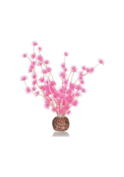 Bonsai Topu Pembe