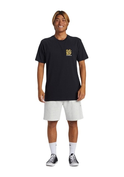 Quiksilver Aqyzt09542 Surf Moe Erkek Tişört 001