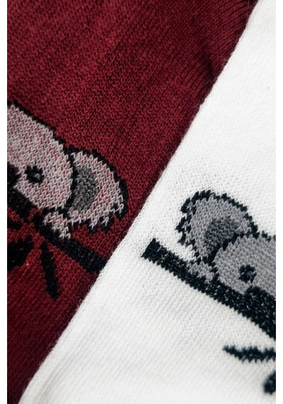 Cocole Socks Çocuk Patik Çorabı 2 Li Set Pamuklu Beyaz & Bordo Koala Desenli Çok Renkli