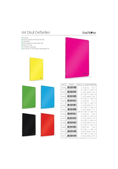 Çınar Karton Kapak A4 100 Yaprak Çizgisiz Defter 12'li Paket