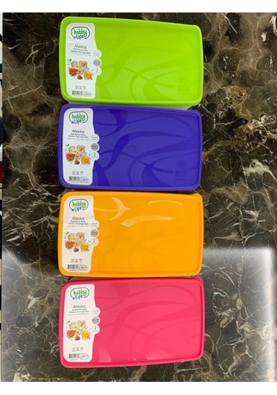 Hobby Life 2 Litre Alaska No Frost Saklama Kabı 4 Adet Çok Renkli