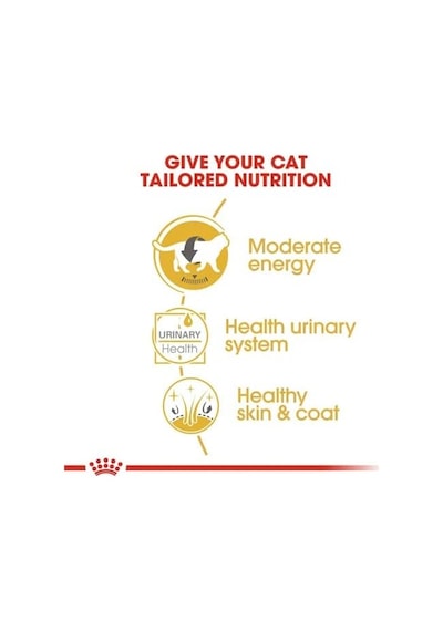 Royal Canin British Shorthair Konserve 85 Gr X 12 Adet