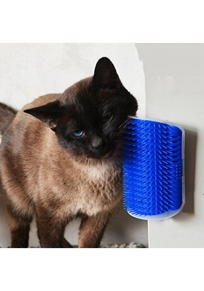 Shed Pal Kedi Kaşınma Aparatı