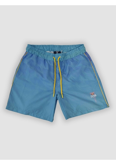 Nature The Brand Erkek Mavi Çizgi Desenli Çok Amaçlı Sporcu Deniz Şortu, Havuz Şortu, Koşu Spor Şortu Mavi