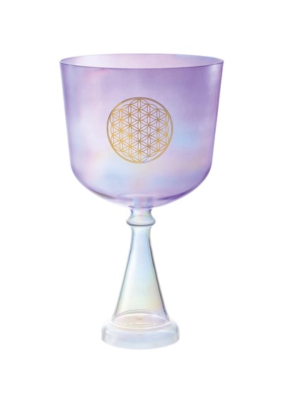 Meinl Sonic Energy Csc8fpfol Hayatın Çiçeği Kalp Çakrası 8'' Crystal Singing Ses Kadehi Purple