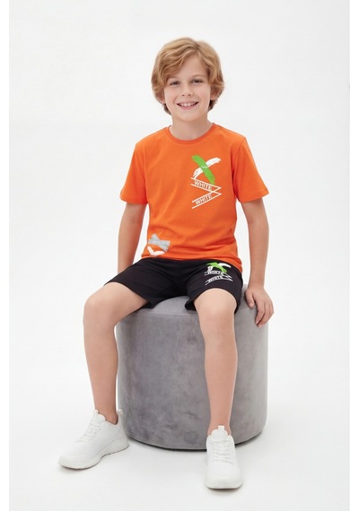 Panios Kids X White Baskı Detaylı Yuvarlak Yaka Yazlık Erkek Çocuk Alt Üst Takım Turuncu Panios Kids X White Baskı Detaylı Yuvarlak Yaka Yazlık Erkek Çocuk Alt Üst Takım Turuncu