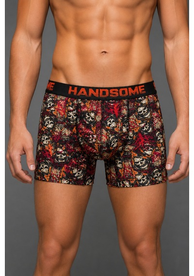 Brem Handsome Kurukafa Desenli Erkek Boxer Çok Renkli