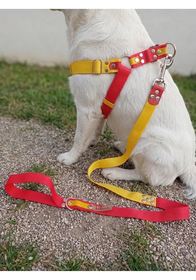 Köpek Göğüs Tasması Ayarlanabilir Ve Gezdirme Kayışı 2'li Set Orta Ve Büyük Irk Sarı & Kırmızı Taraftar Köpek Göğüs Tasması Ayarlanabilir Ve Gezdirme Kayışı 2'li Set Orta Ve Büyük Irk Sarı & Kırmızı Taraftar