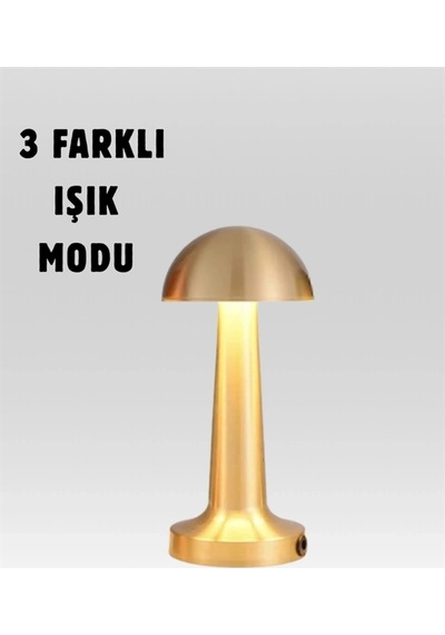 Mantar Masa Lambası Çok Renkli