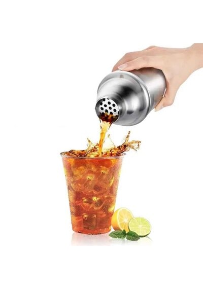 Epinox Paslanmaz Çelik Profesyonel Shaker 350 Ml Sh-35 Metalik Gri