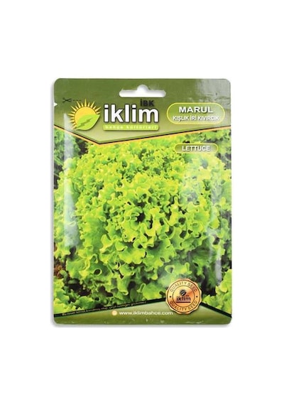 Tohum Marul Kışlık İri Kıvırcık 5gr