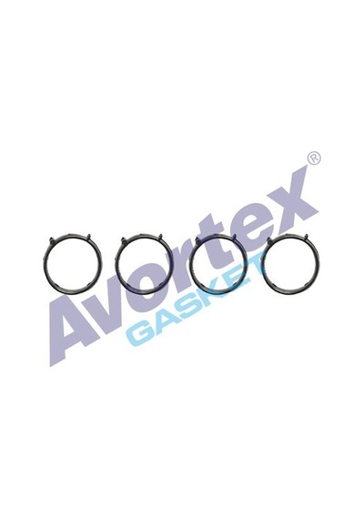 Avortex Emme Manifold Contası Silikon Doblo 1.9 D Avortex 248 46548450-46548459