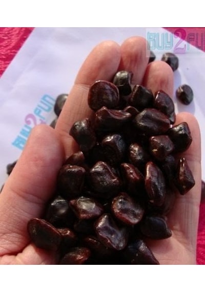 Tamarind 4 Adet Tohum