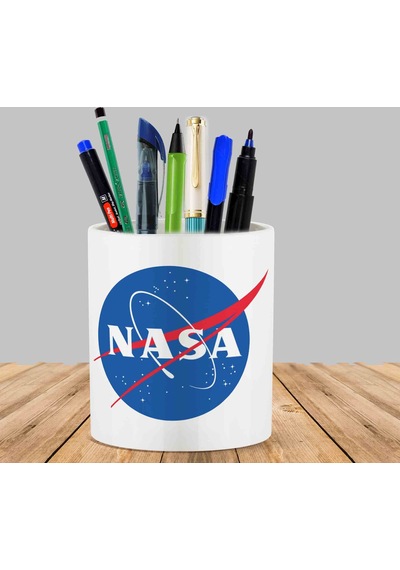 Nasa Kaktüs Sukulent Saksı Kalemlik