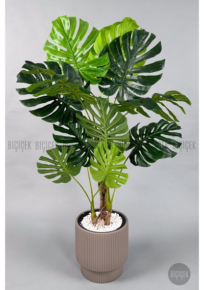 Biçiçek Yapay Monstera Ağacı Deve Tabani 160 Cm Mocha Vega Saksıda