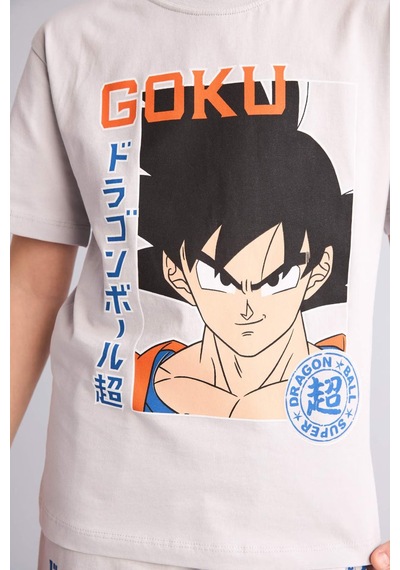 Defacto Dragon Ball Regular Fıt 2li Pijama Takımı Erkek Çocuk H4108a826hsgr184 Gri-gr184