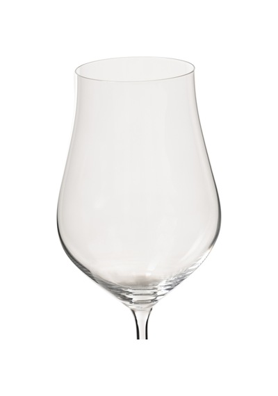 Mudo Home Arıa Kadeh 450 Ml Çok Renkli