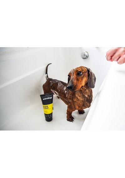 Fox Poo Kötü Kokular İçin Köpek Şampuanı 250 Ml