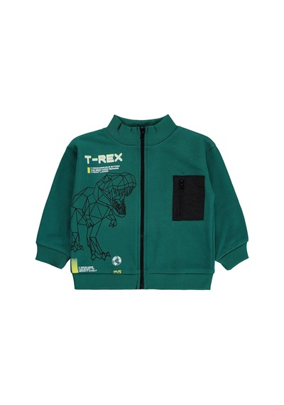 Silversun Kids Silversun T-rex Dinozor Baskılı 2-7 Yaş Hırka - Yeşil Petrol