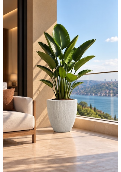 Bostann Dekoratif Saksı - Botonıa 020 - 30l - Beyaz 30 Lt