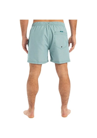Quiksilver Everyday Deluxe Volley 15 Erkek Şort Mayo Eqyjv04101-21882 Yeşil Yeşil