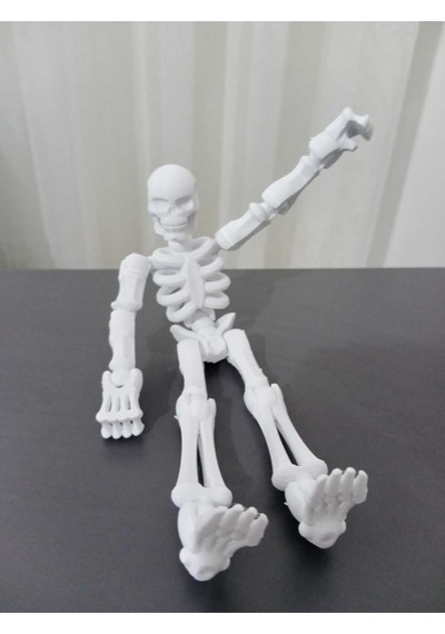 Sök+tak İnsan İskeleti
