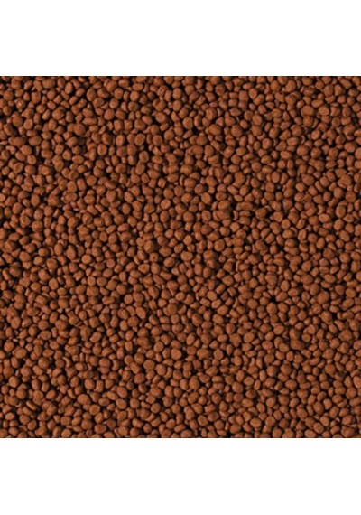 Tropical Cichlid Carnivore Small Pellet 250 Gram Balık Yemi