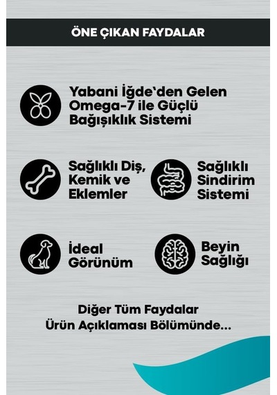 Signature Kuzulu Yetişkin Köpek Küçük Irk - 12 Kg