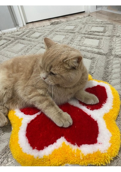 Kirbi Kedi Patisi Süs Halı Çok Renkli