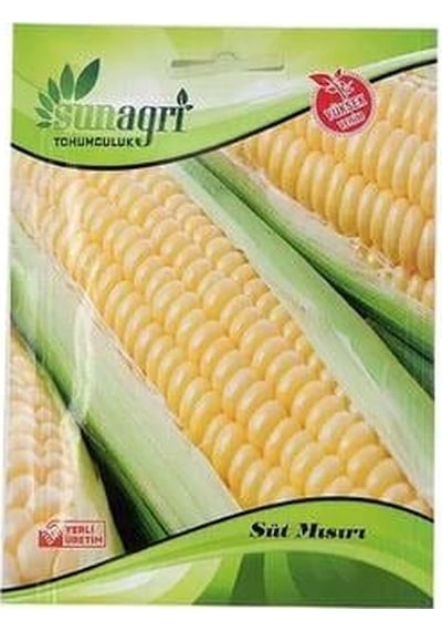 Süt Mısır Tohum
