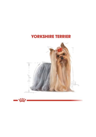 Yorkshire Terrier Yetişkin Kuru Köpek Maması 1.5kg + 2 Adet Yaş Mama Hediye