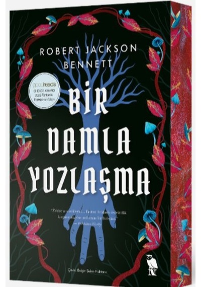 Bir Damla Yozlaşma