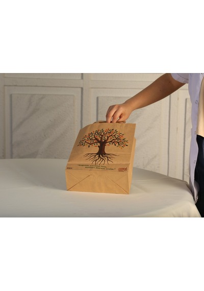 Eczane Kraft Çanta Kahverengi 50'li 22 x 10 x 27 CM