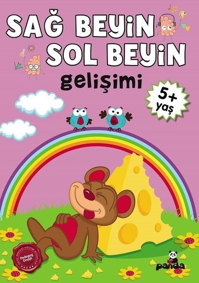5 Yaş Sağ Beyin - Sol Beyin Gelişimi- Panda