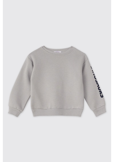 Panço Erkek Bebek Gri Sweatshirt 2521bb08037