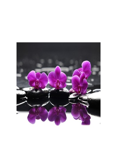 Spa Taşları Papatya Ve Orkide Doğal Taş Bardak Altlığı 4'lü Set - Natural Stone Coasters - Taş Çok Renkli