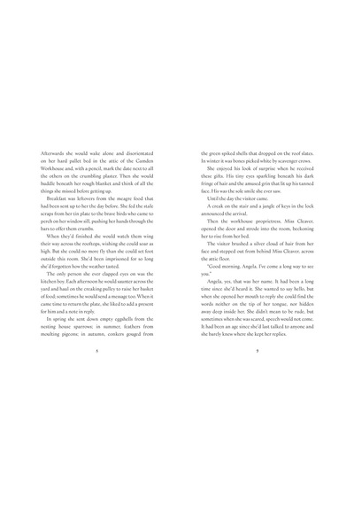 Skycircus (The Cogheart Adventures #3)