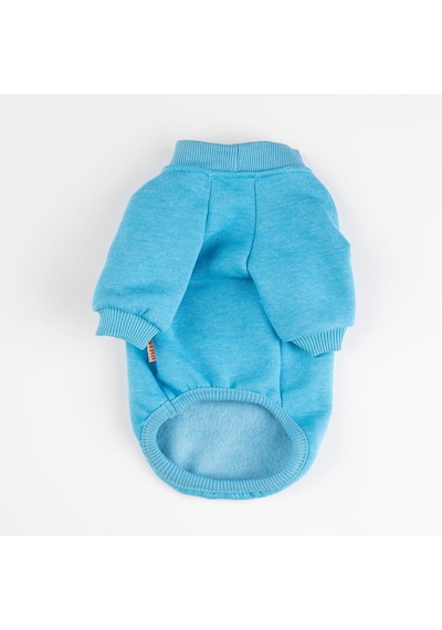 Pawstar Turkuaz Power Polarlı Küçük Irk Köpek Sweatshirtü