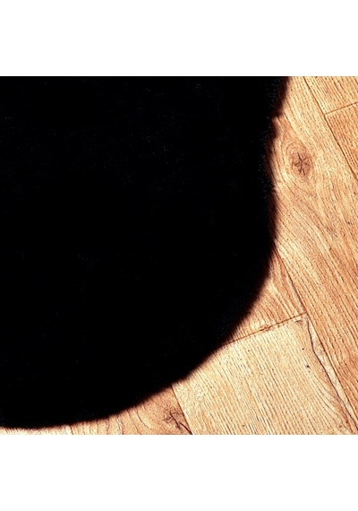 Re x  Tavşanı Kısa Tüylü Post Peluş Siyah (499450934)
