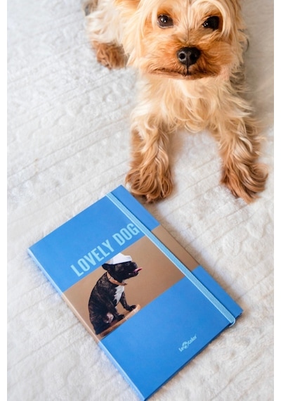 Köpek Dünyası Journal Düz