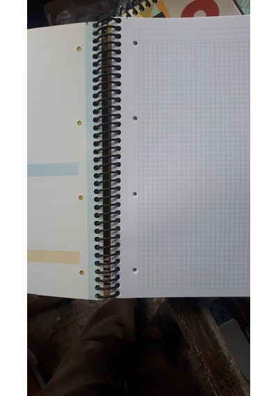 Ayraçlı Defter Spiralli A4 Ebat 200 Yp 6 Ayraç 4 Kareli + 2 Çizgili Plastik Kapak 4 Adet Defter Çok Renkli