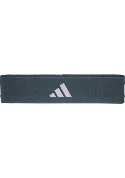 Adidas Heavy Direnç Bandı Legacy Blue Adtb-10705bl-nl