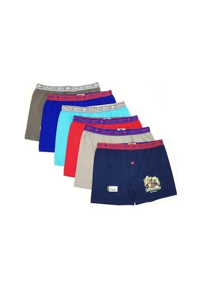 Renkli Erkek Çocuk Boxer 6 Lı Paket Renkli