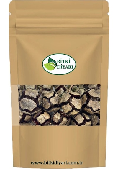 Servi Kozalağı Cupressus Sempervirens Mazı 100gr