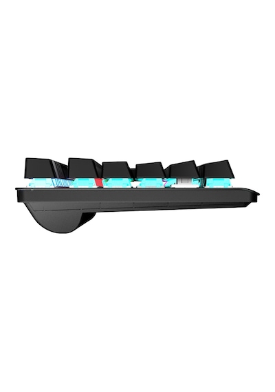 Gamepower Eva 3 60M Mekanik RED Switch Usb Kablolu Oyuncu Klavye