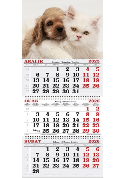 2026 Yılı Gemici Takvimi-kedi Ve Köpek Dostluğu