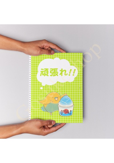 İlkokul Üçüncü Sınıf Kanji Defteri Çok Renkli
