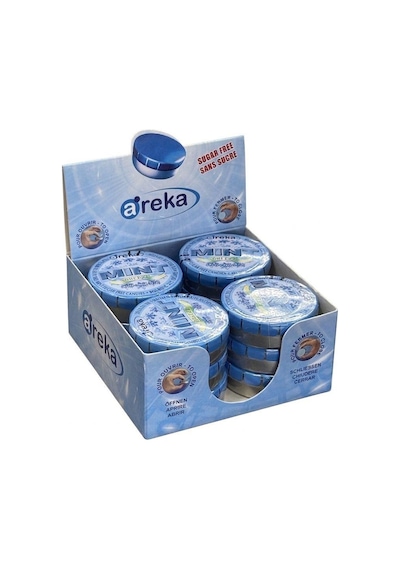 Areka Mint Naneli Şeker 12'li Teneke Kutu