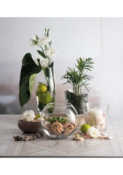Ayrex Paşabahçe Botanıca Vazo Tekli Hediyelik Kutu Genel
