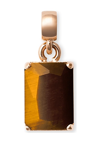 Daniel Wellington Dw00401468 Kadın Küpe Diğer